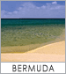 Bermuda Cruises